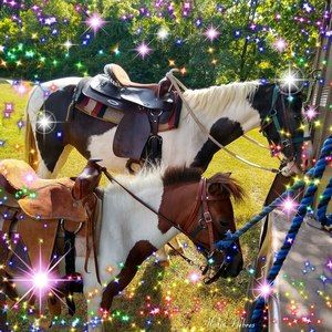 Meet your Posher, Corey